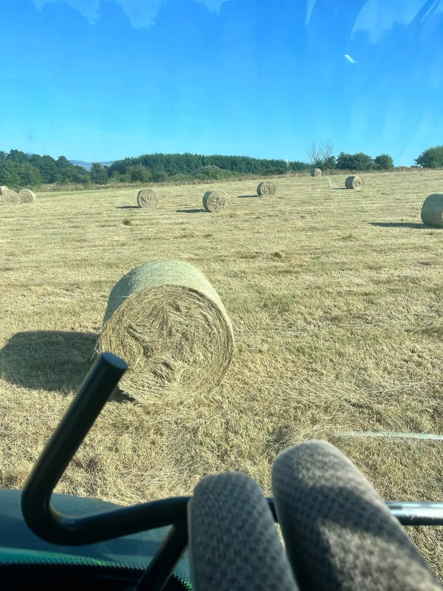 Hay