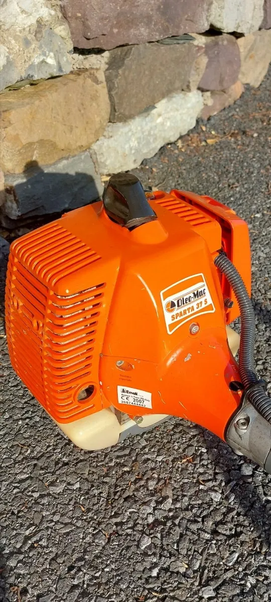 Professional Strimmer for sale. - Image 1
