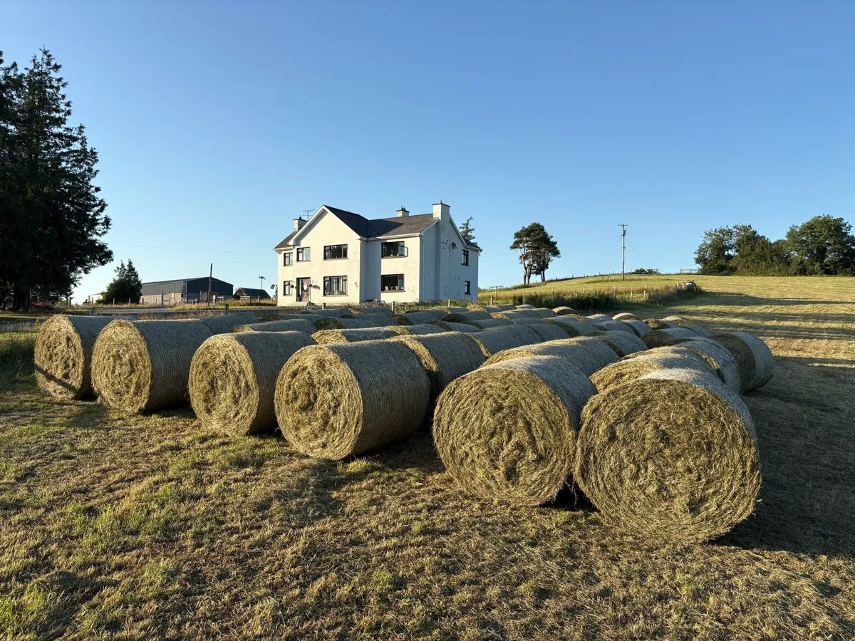 Hay bales - Image 1