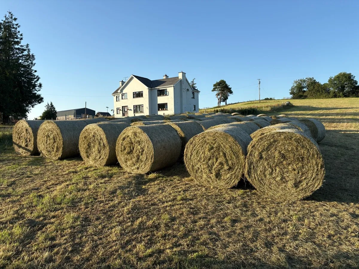 Hay bales - Image 4