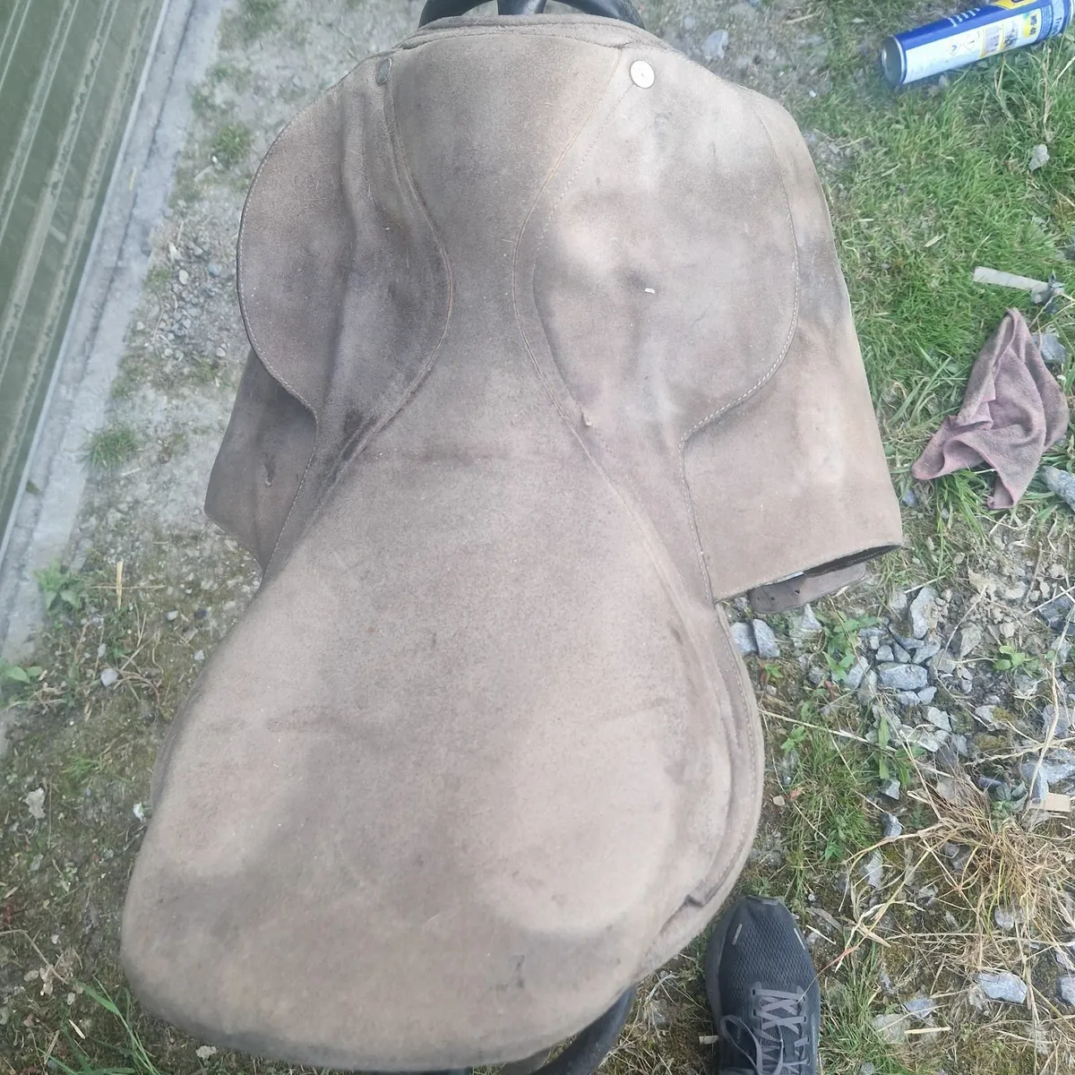 Horse Saddles - Image 4