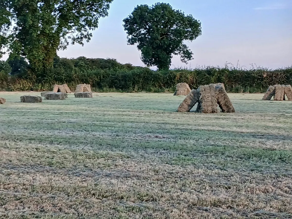 Hay - Image 1