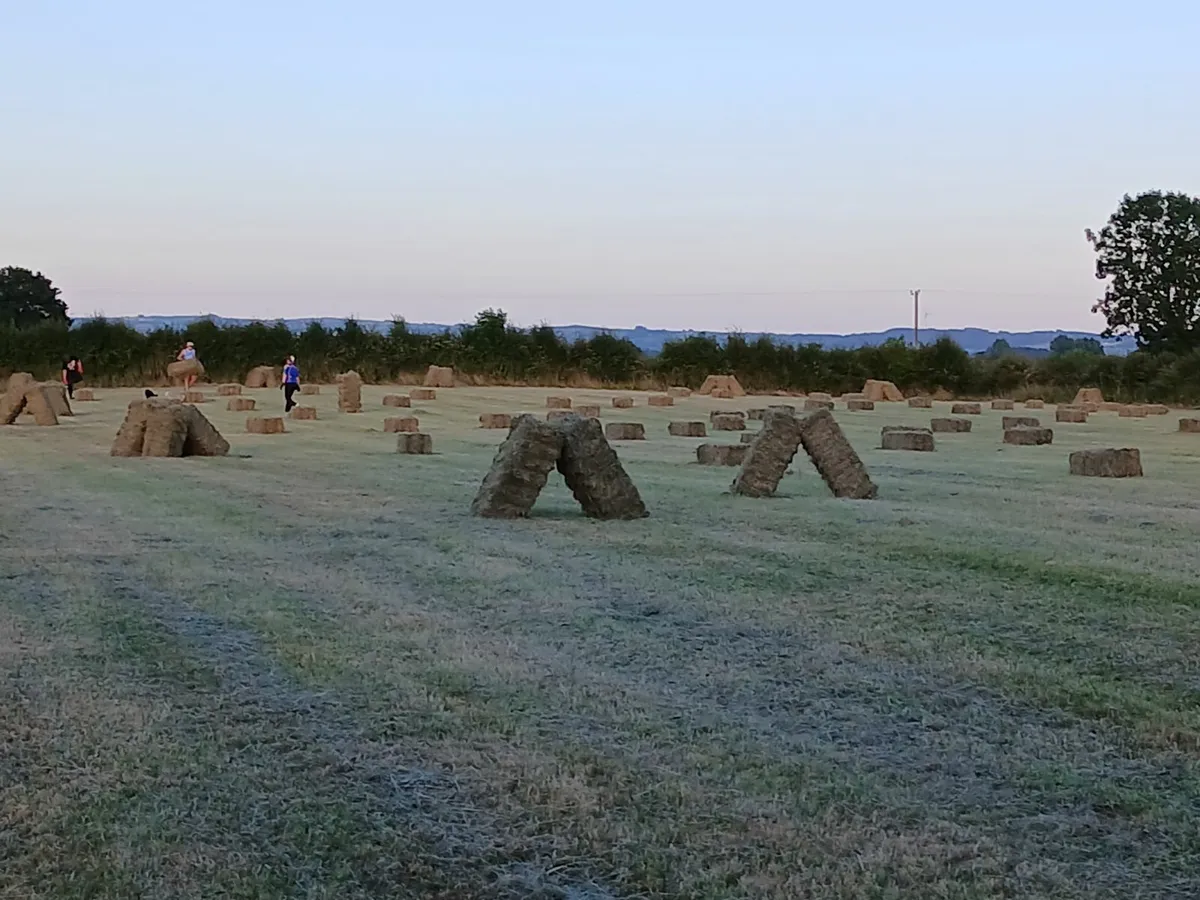 Hay - Image 2