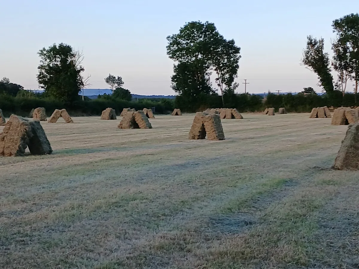 Hay - Image 3