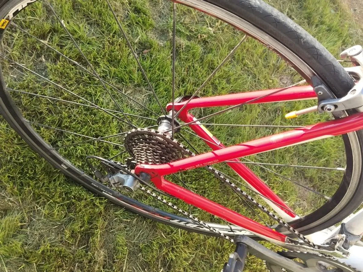Road Bike - Ben Healy special!! 50 euro off 🥳 - Image 3