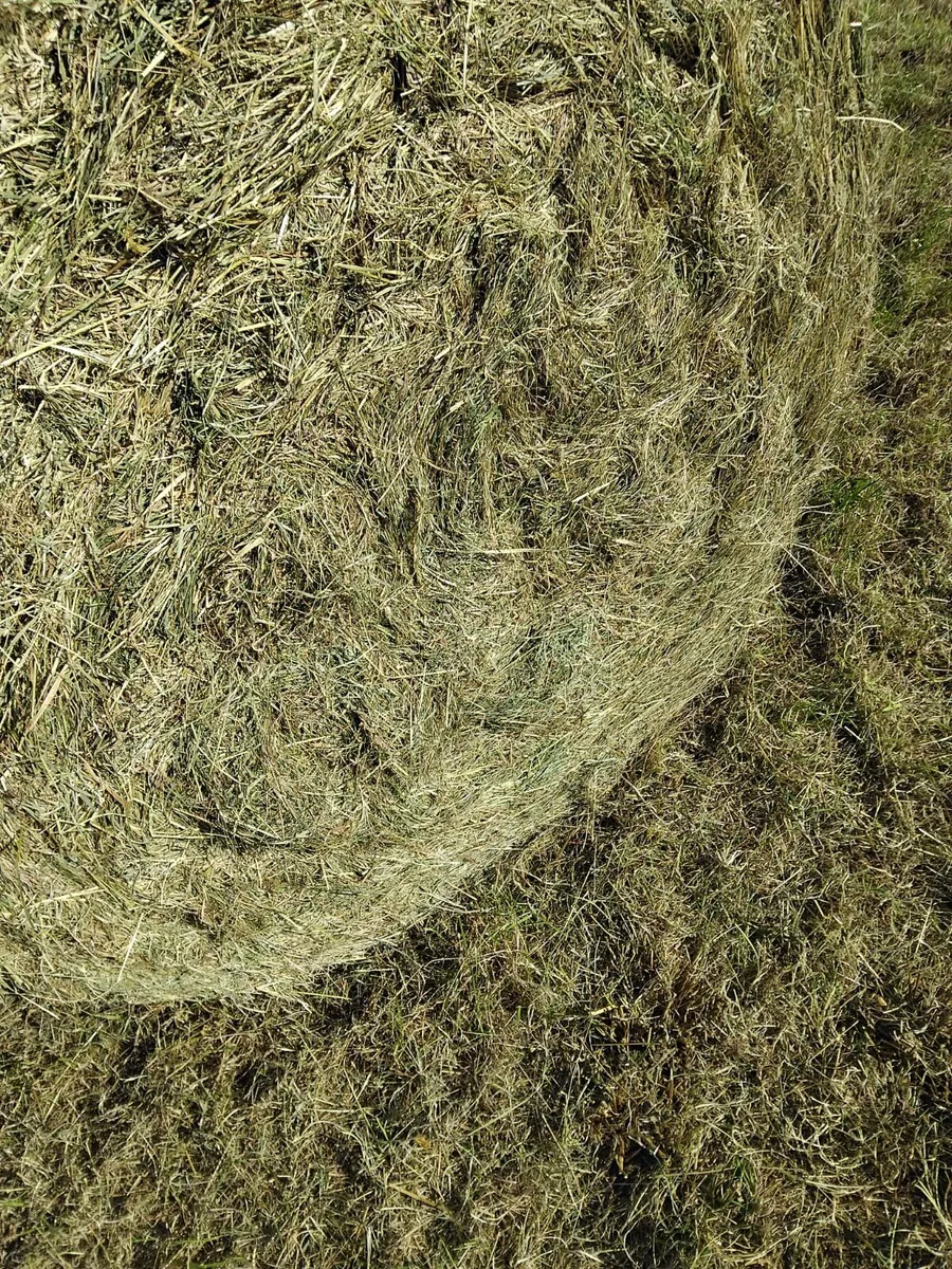 Hay for sale - Image 1