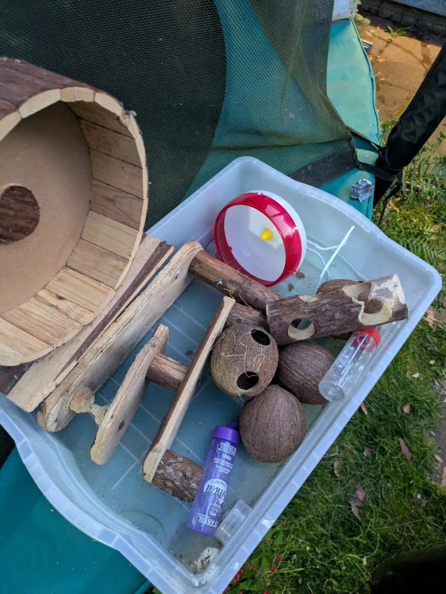 Hamster / gerbil / small pet equipment - Image 1