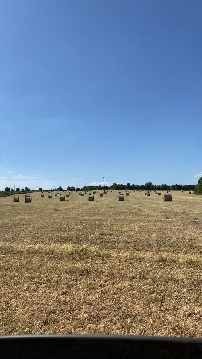 Hay for sale