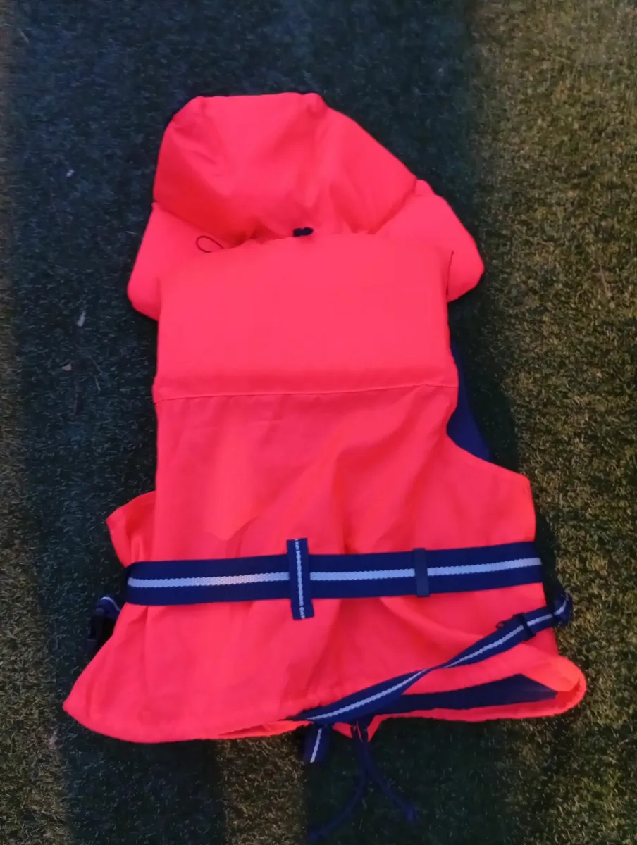 New Quality Children's lifejackets - Image 2