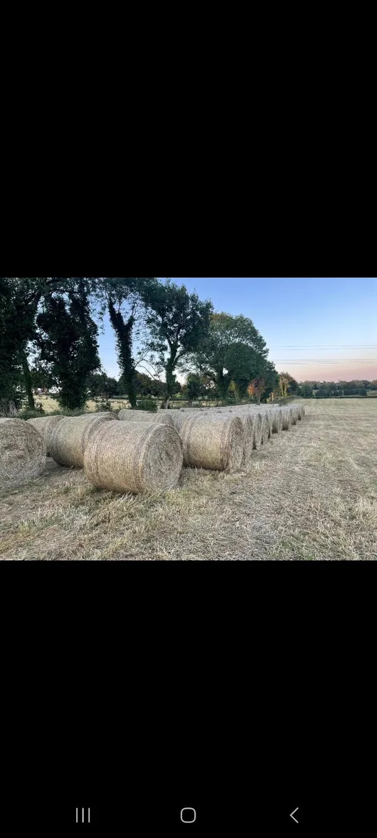 Hay bales - Image 2