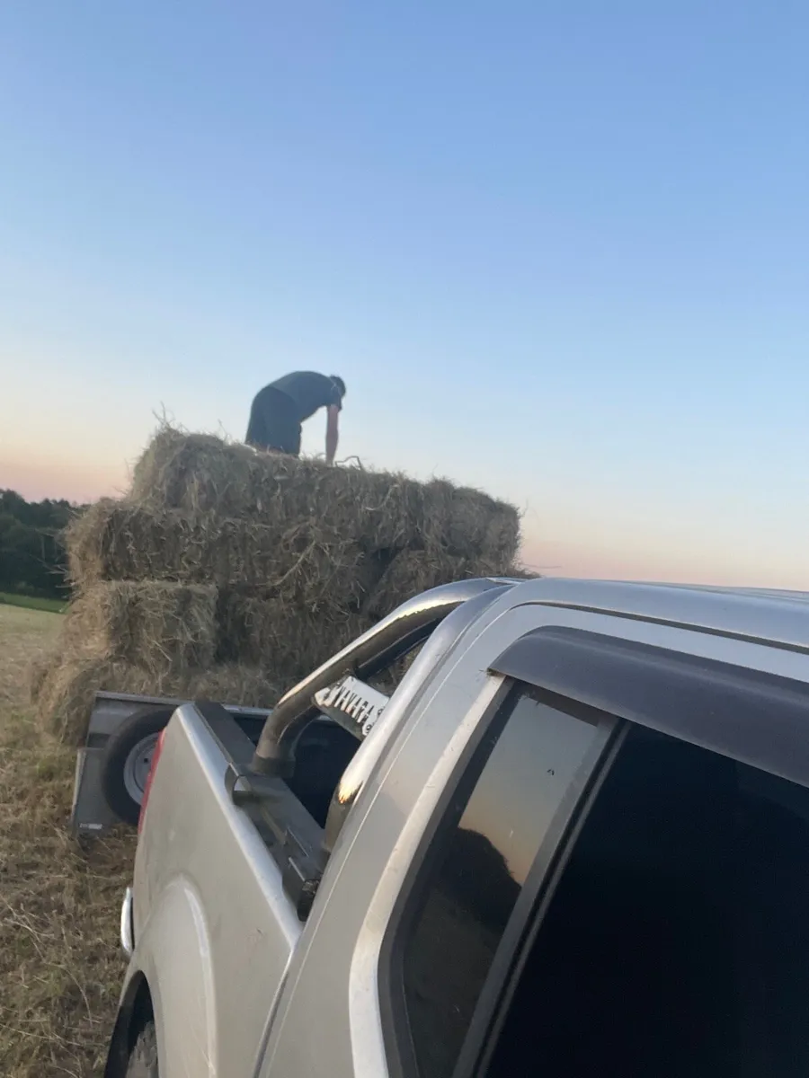 Hay-small squares or rounds. Can deliver
