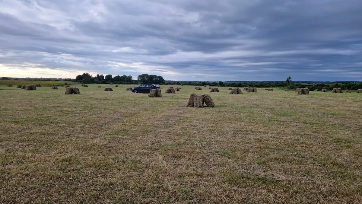 Small Square Hay Bales - Image 2
