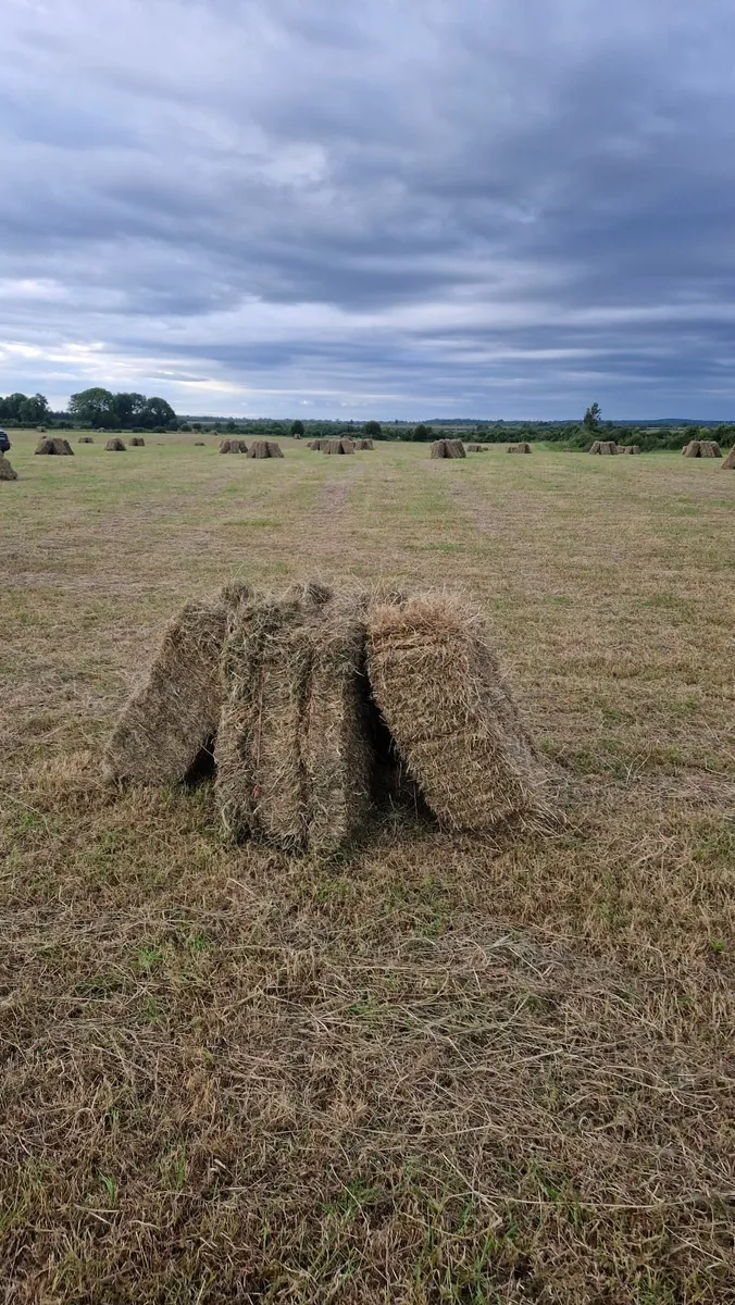 Small Square Hay Bales - Image 3