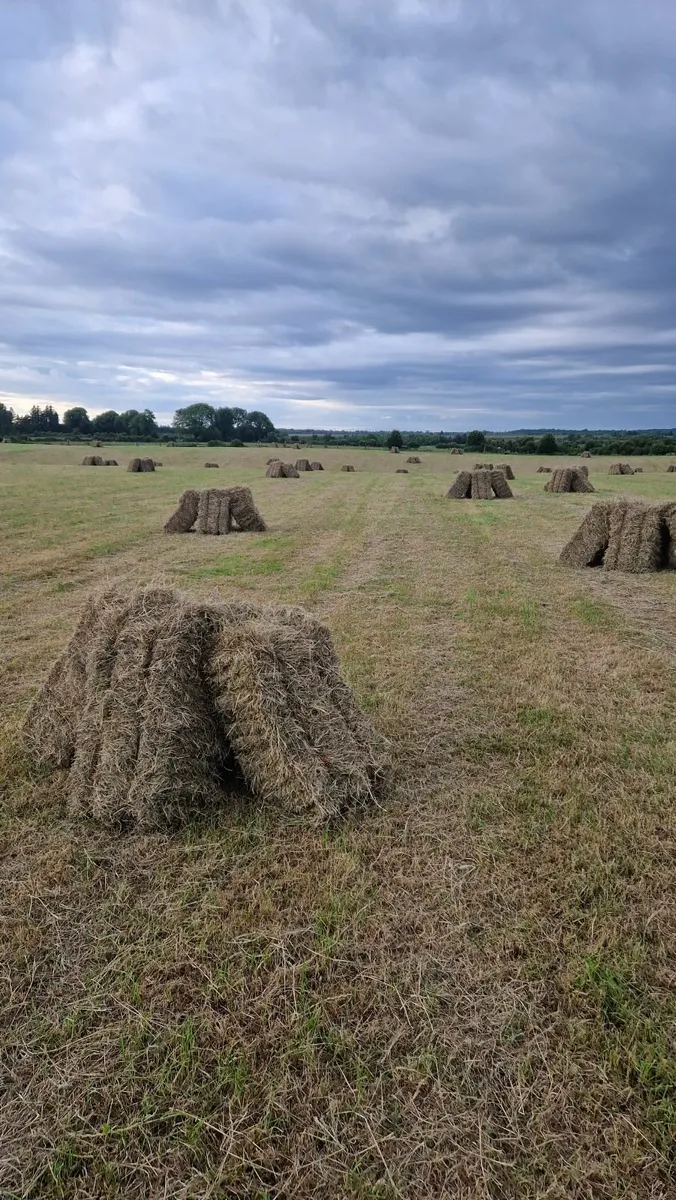 Small Square Hay Bales - Image 1