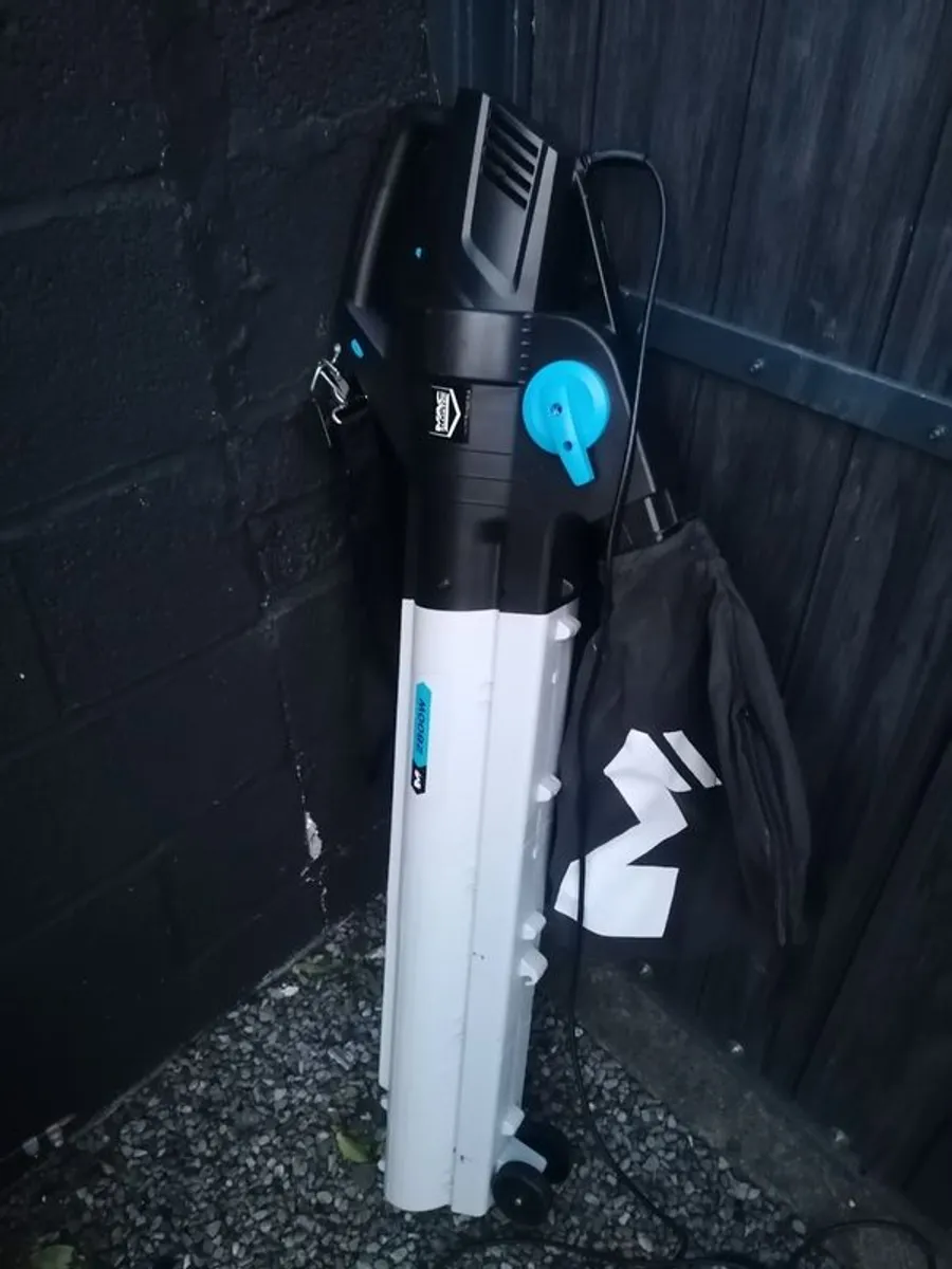 Leaf blower - Image 1