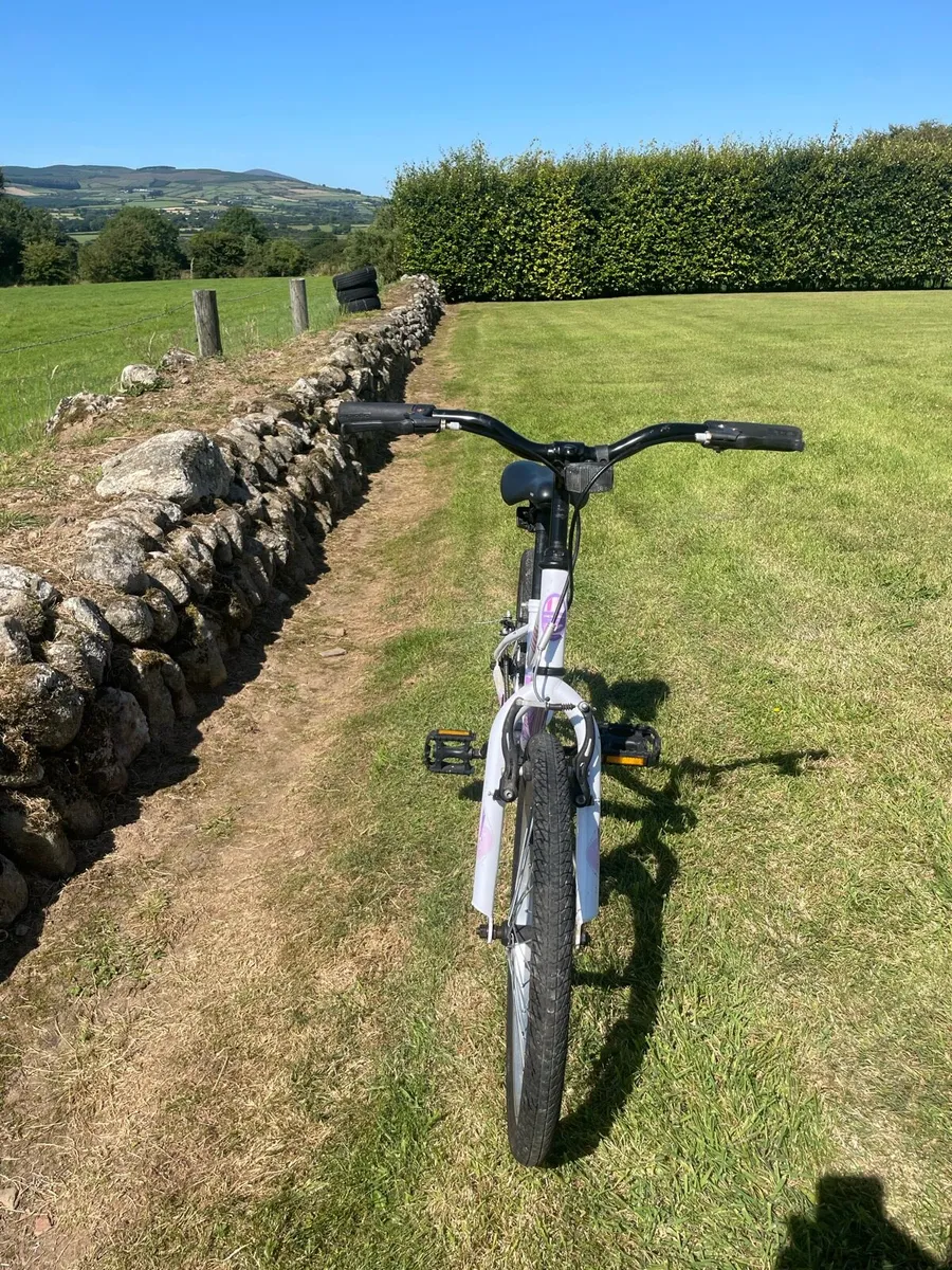 Envy Apollo bike - Image 2