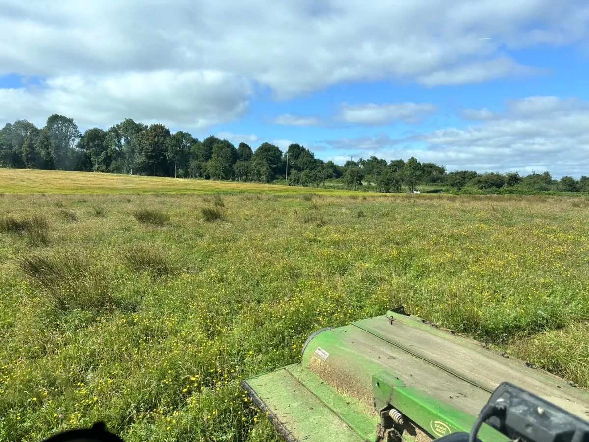 Callow hay - Image 1