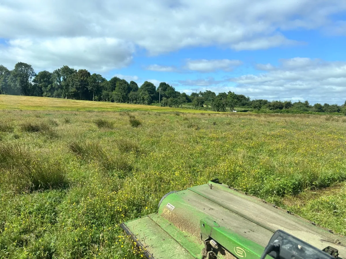 Callow hay - Image 2