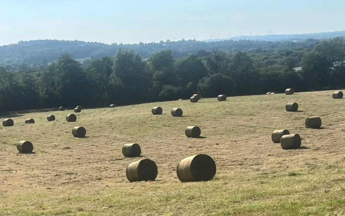 26 Bales of top quality hay