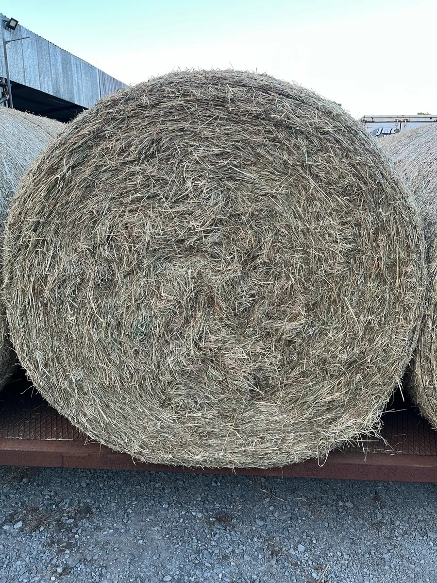 Organic Hay - Image 1