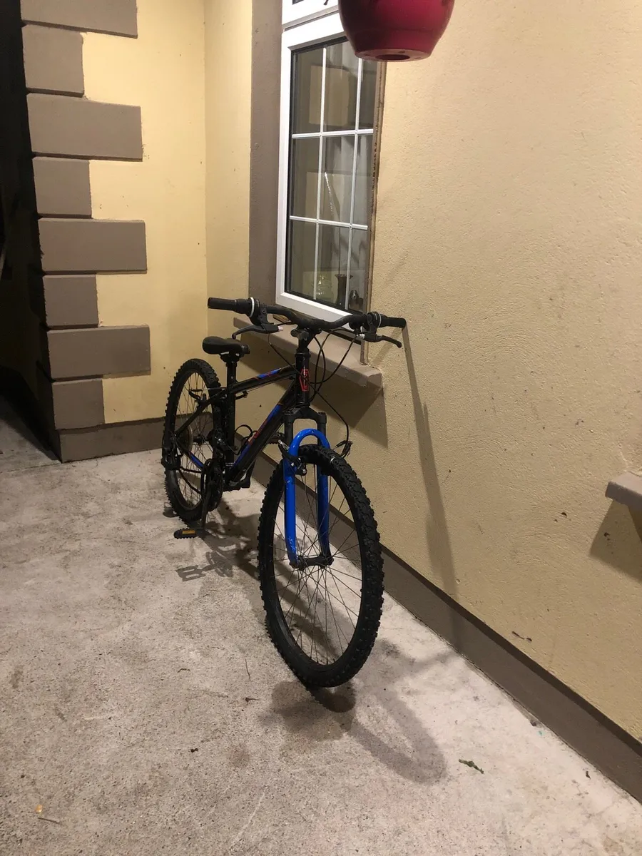 Mountain bike - Image 1