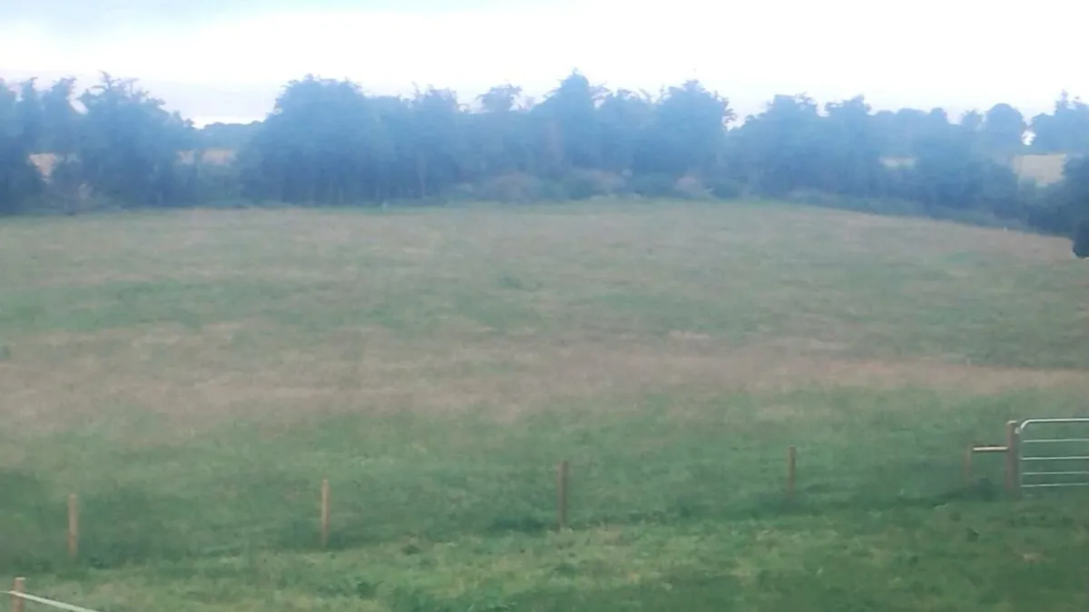 Hay/silage/haylage meadow for saving - Image 2