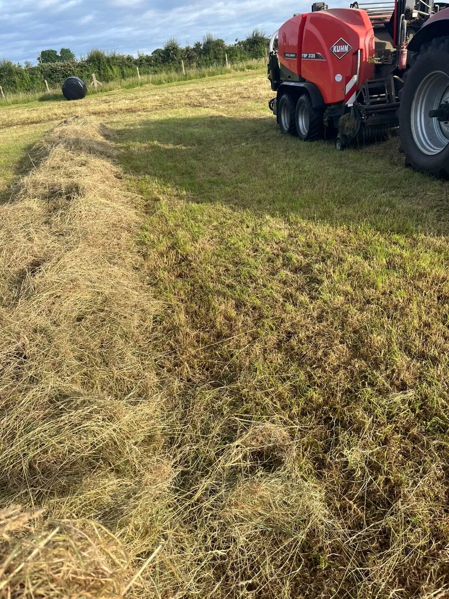 Haylage - Image 3