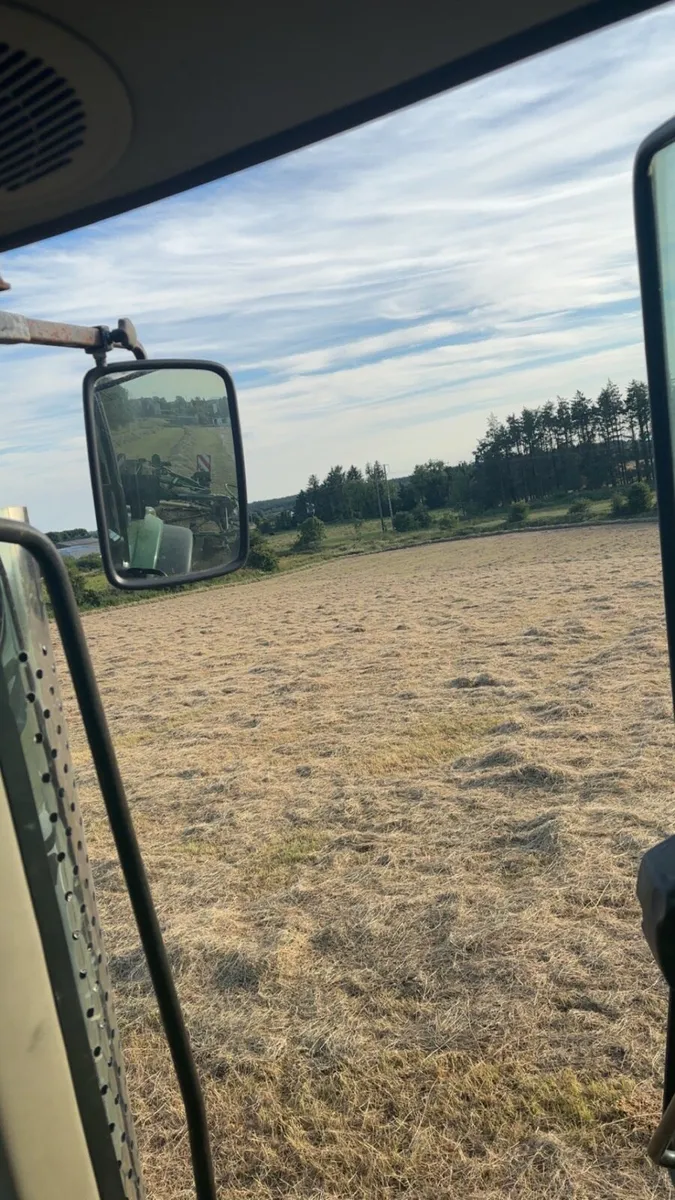 Hay - Image 2