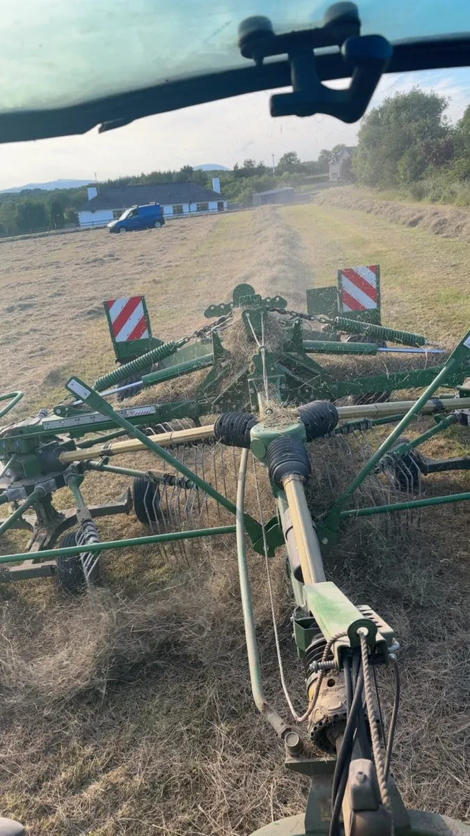 Hay - Image 4