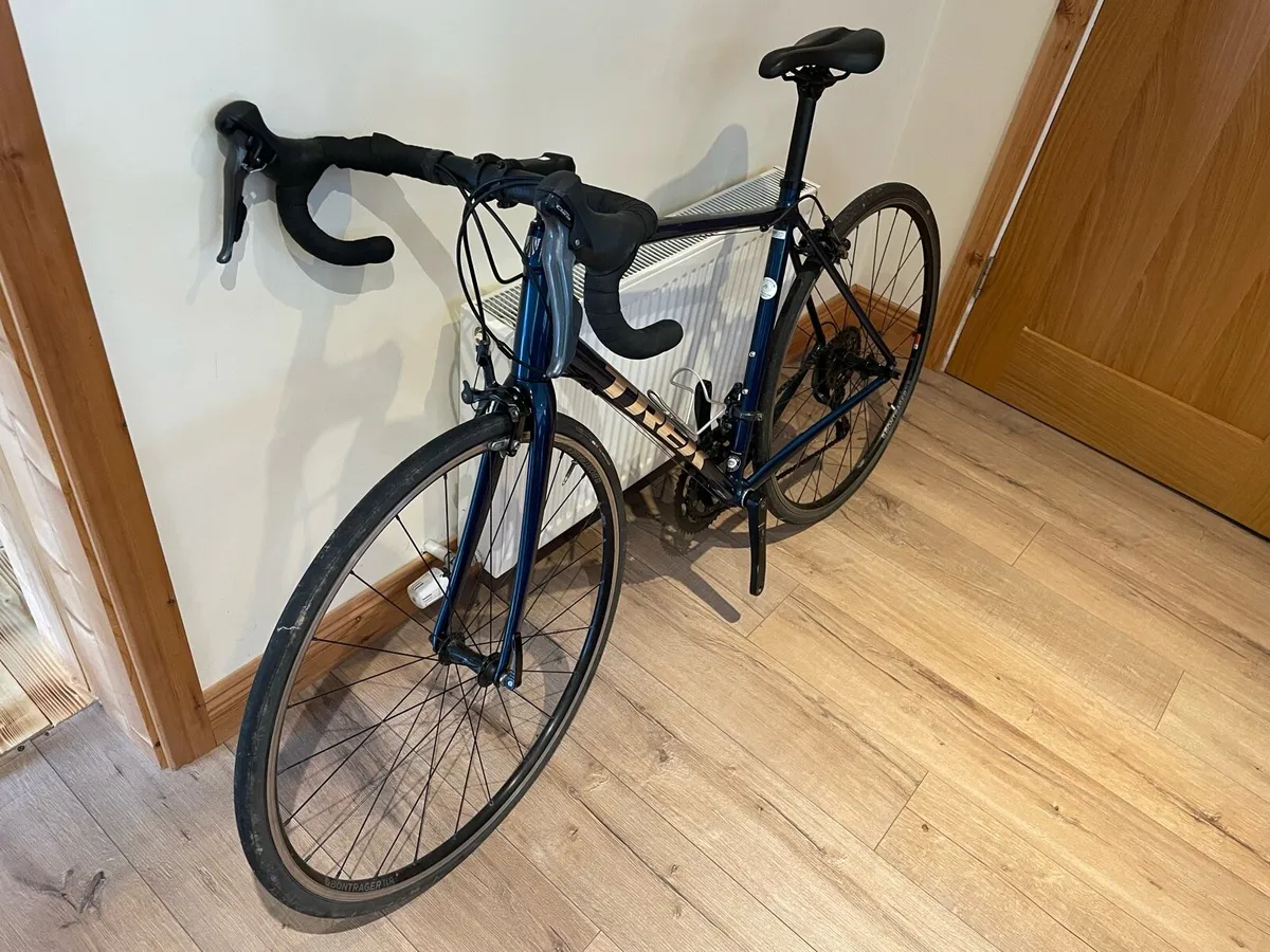 Trek Domane AL 2 size 56 - Image 1