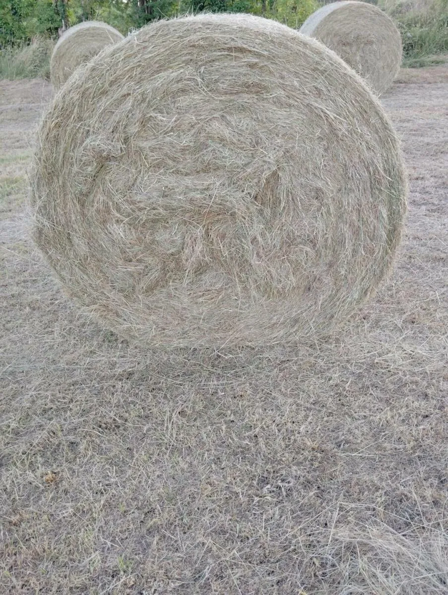 Organic Hay Round Bales - Image 1