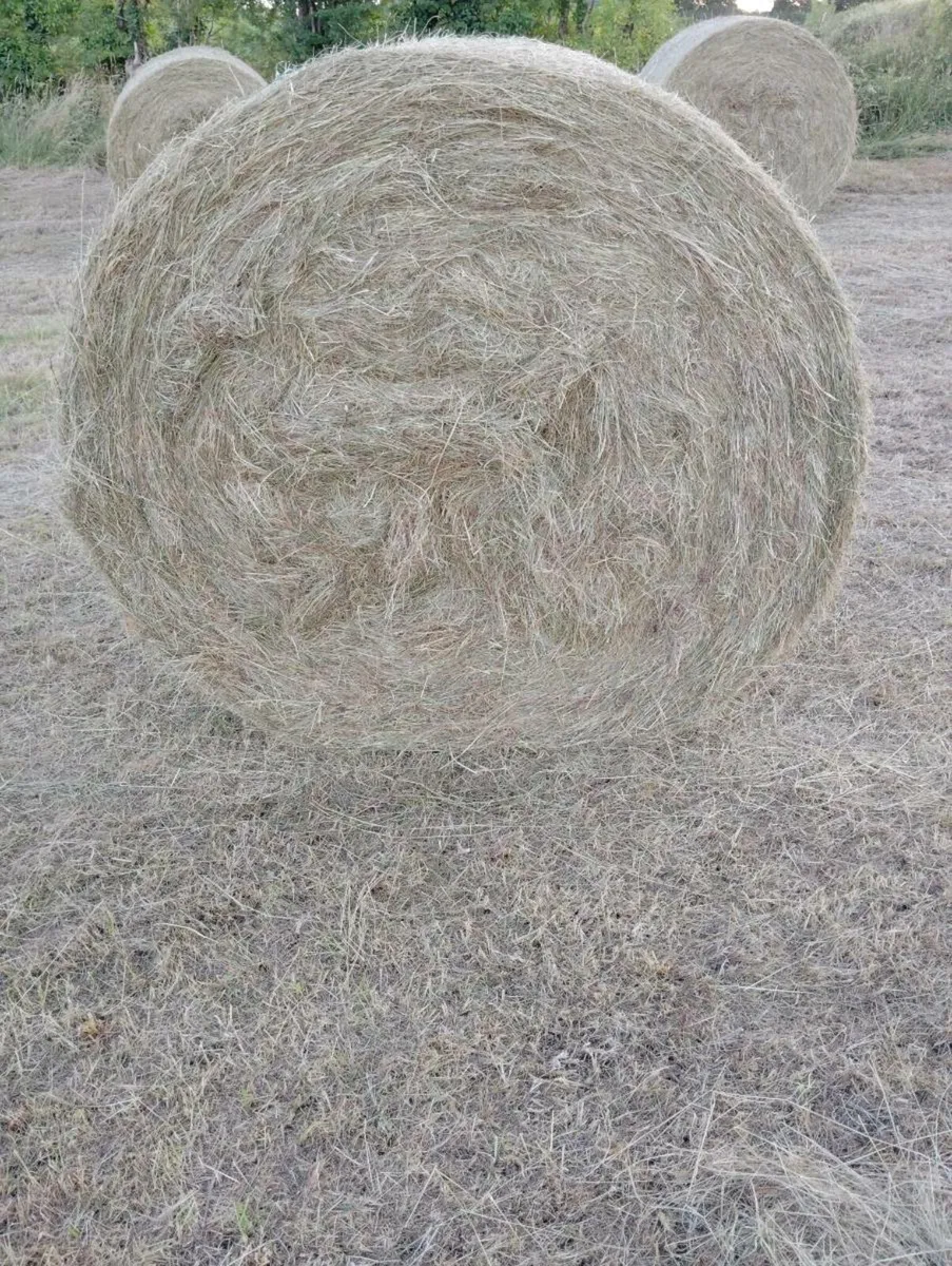 Organic Hay Round Bales - Image 2