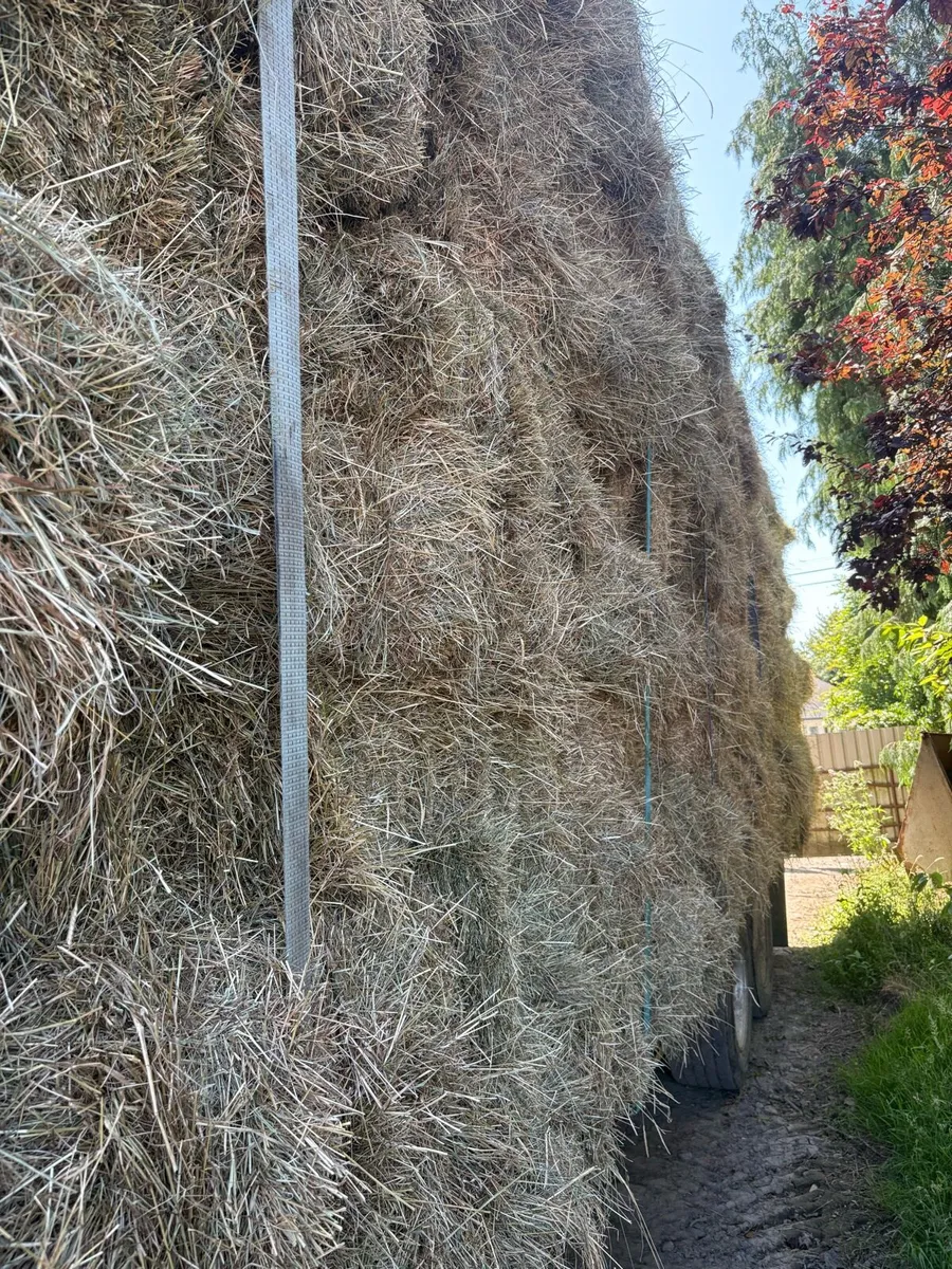 Square baler of hay - Image 2