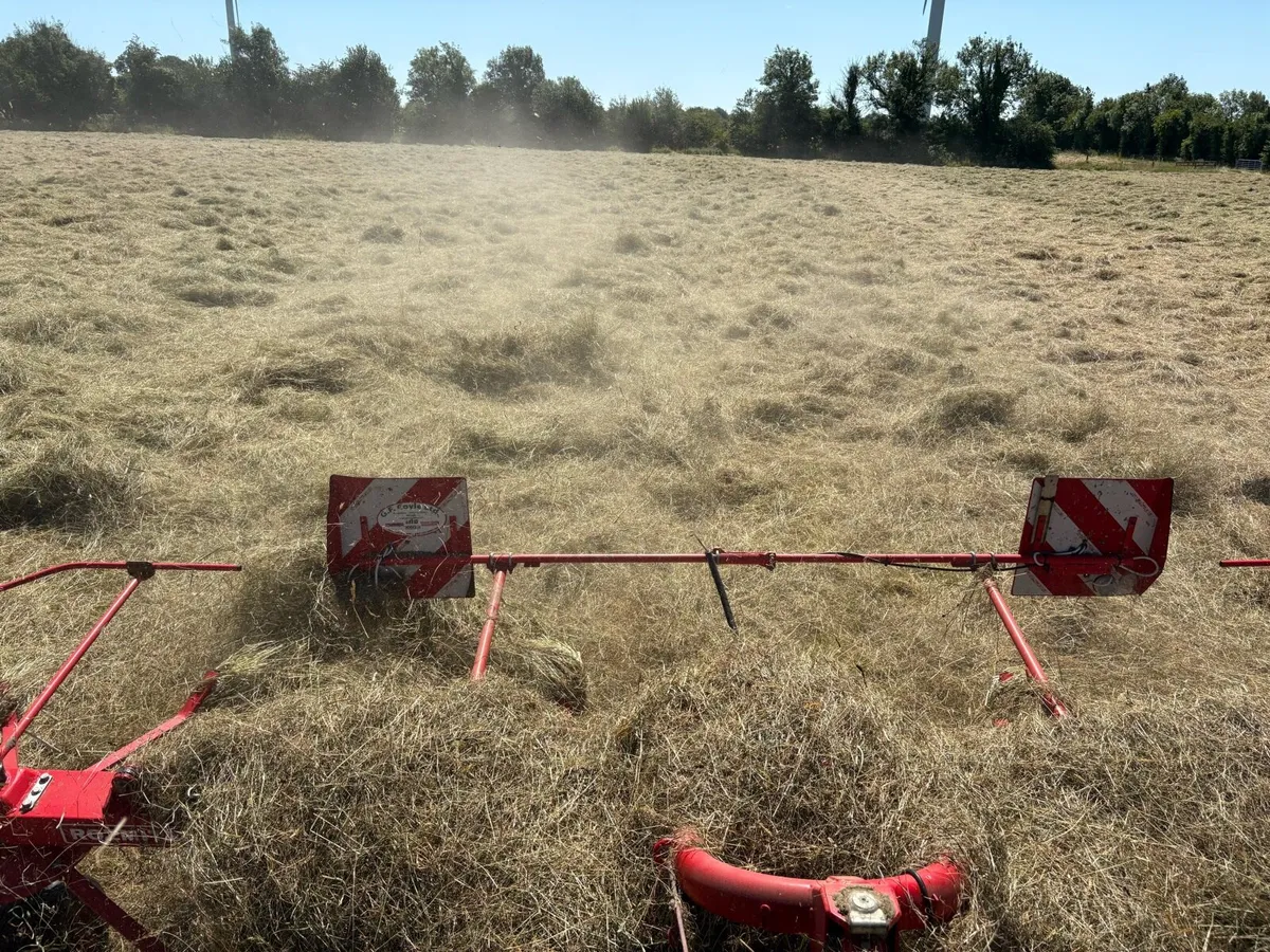 Square baler of hay - Image 3