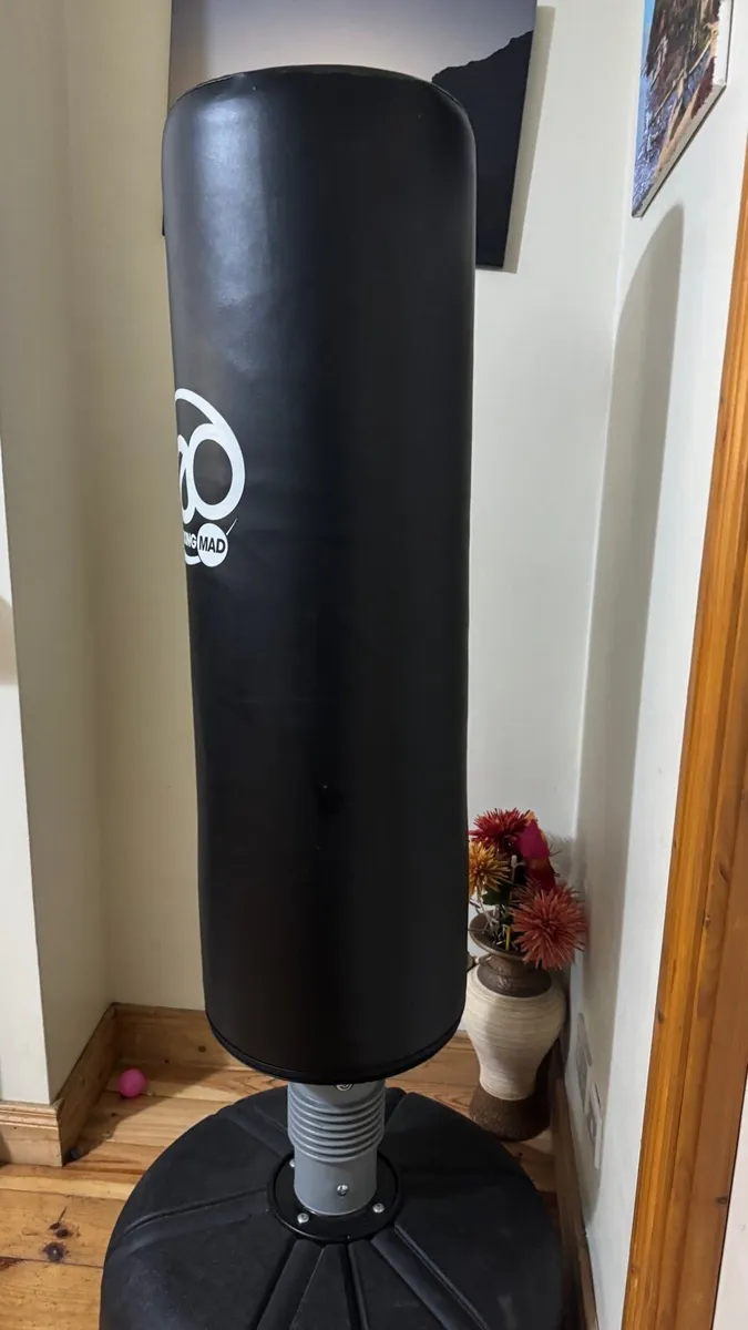 Standing Punching Bag -Dublin 15 - Image 4