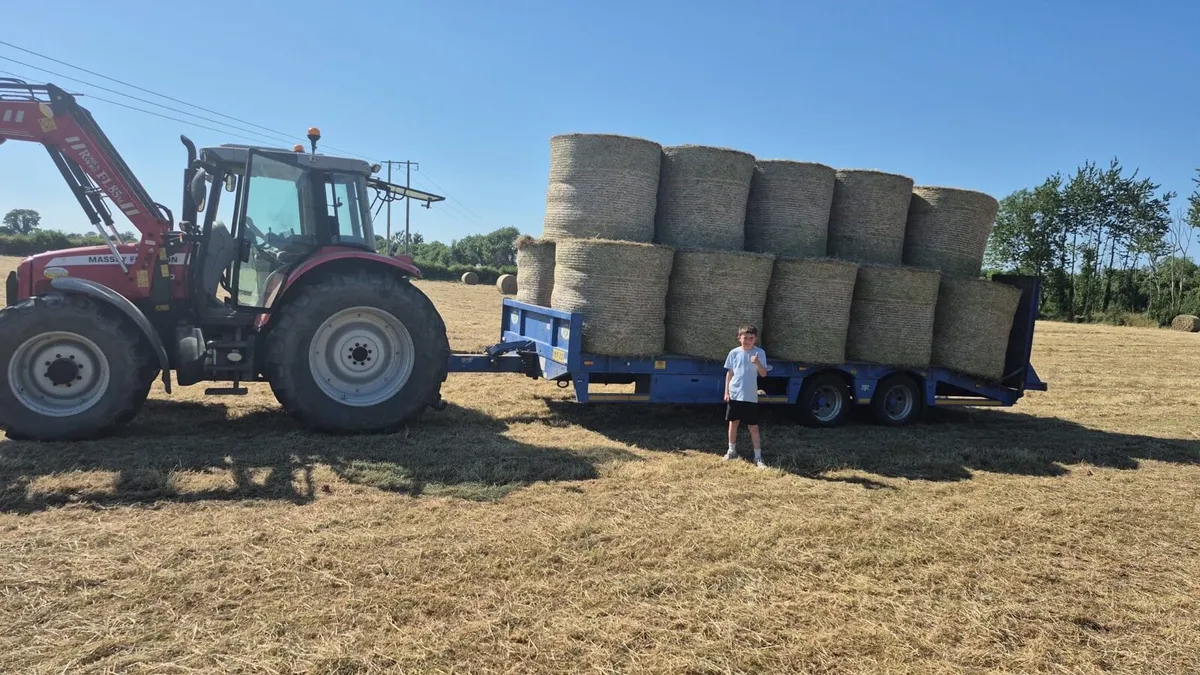 Hay For Sale - Image 3