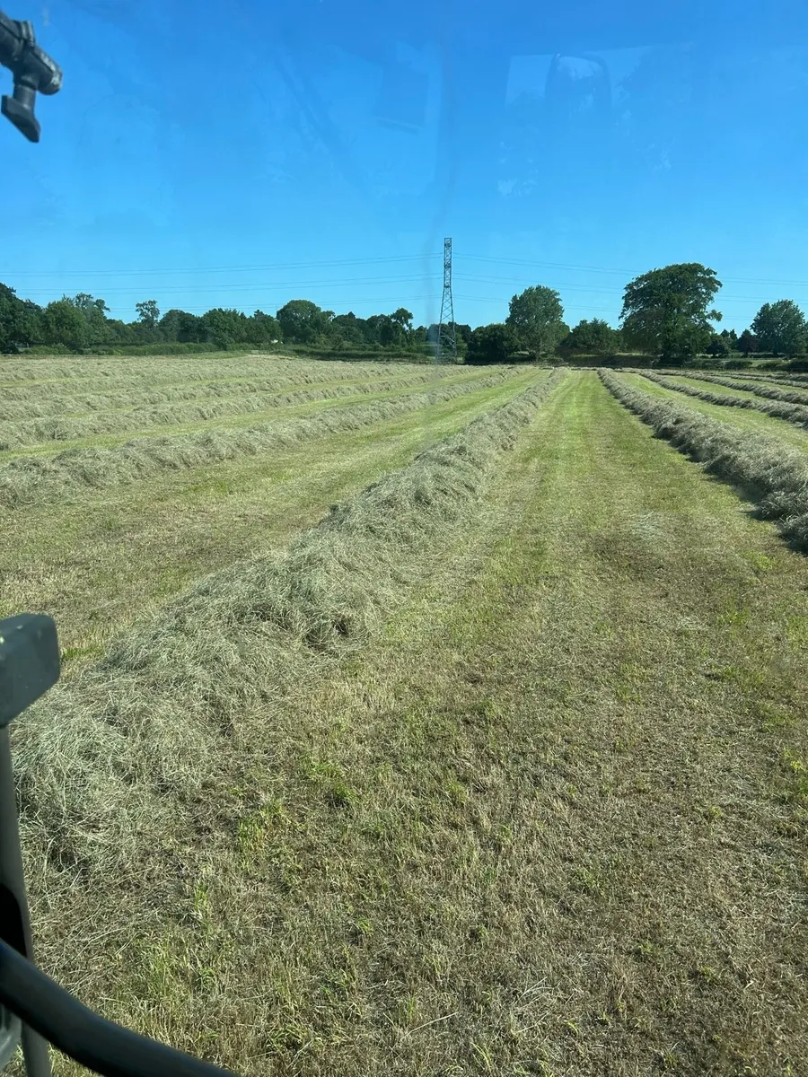 Hay - Image 1