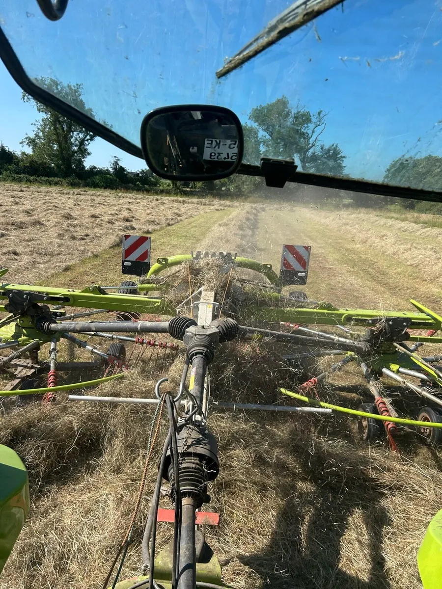 Hay - Image 2