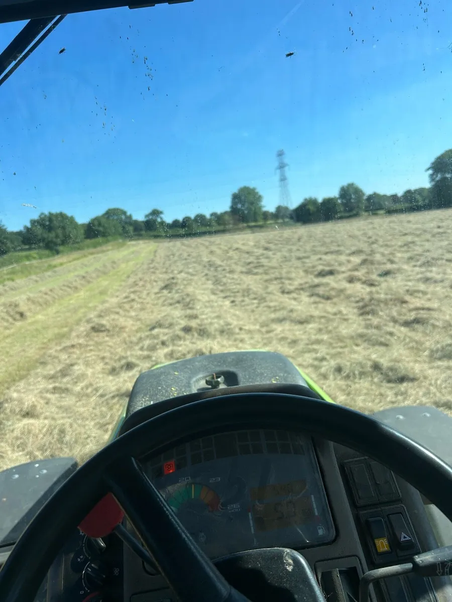 Hay - Image 3