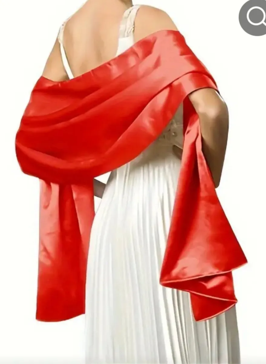 Occasion Dress & Shawl - Image 2