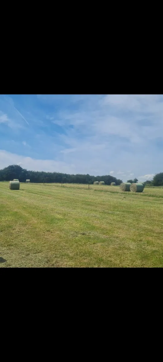Hay Bales