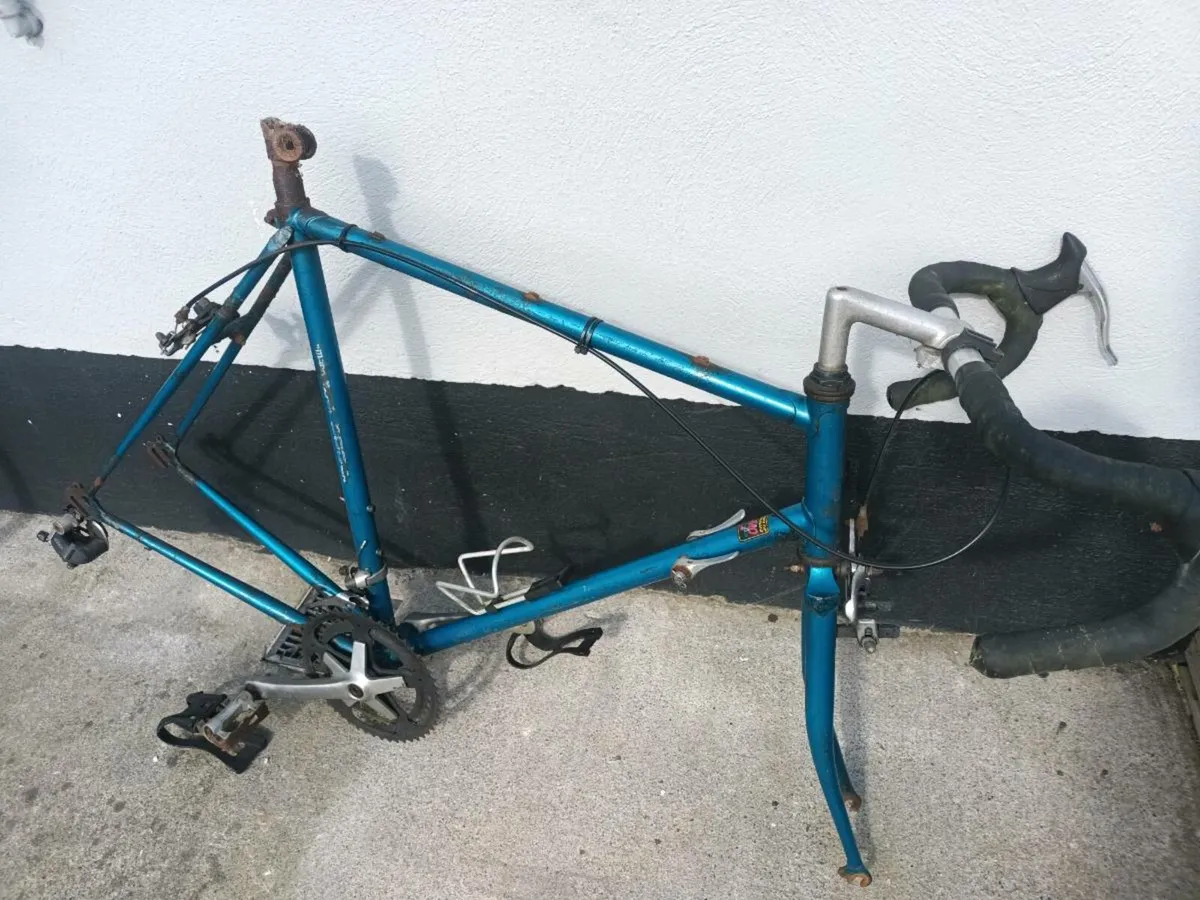 Falcon proline project - Image 1