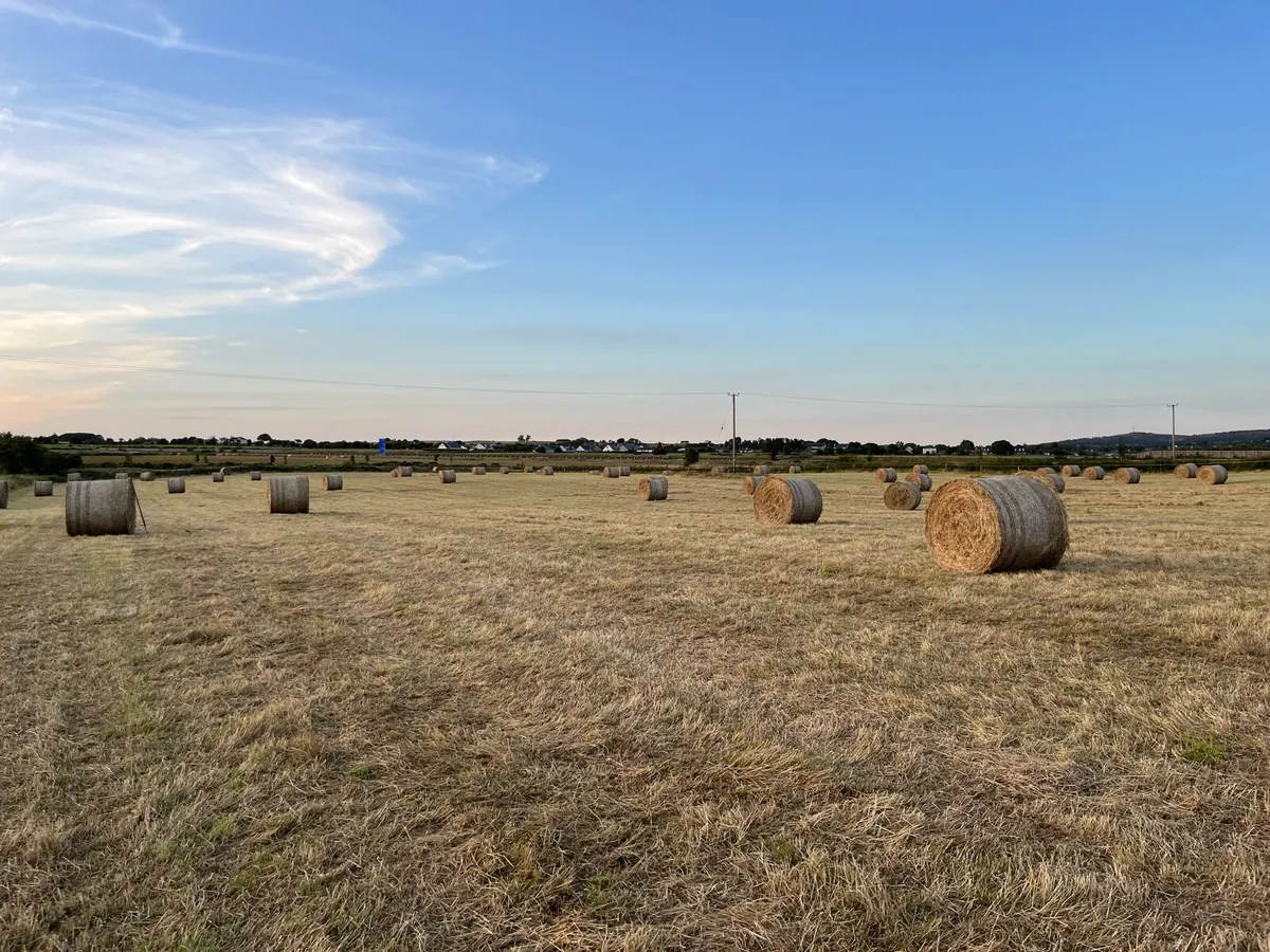 Quality Horse Hay baled 12/7 - Image 1