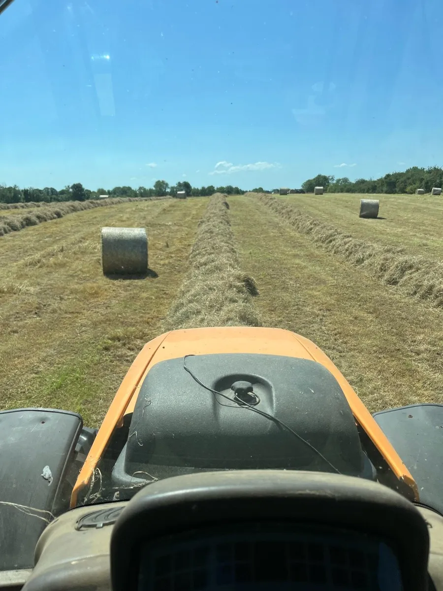 Hay