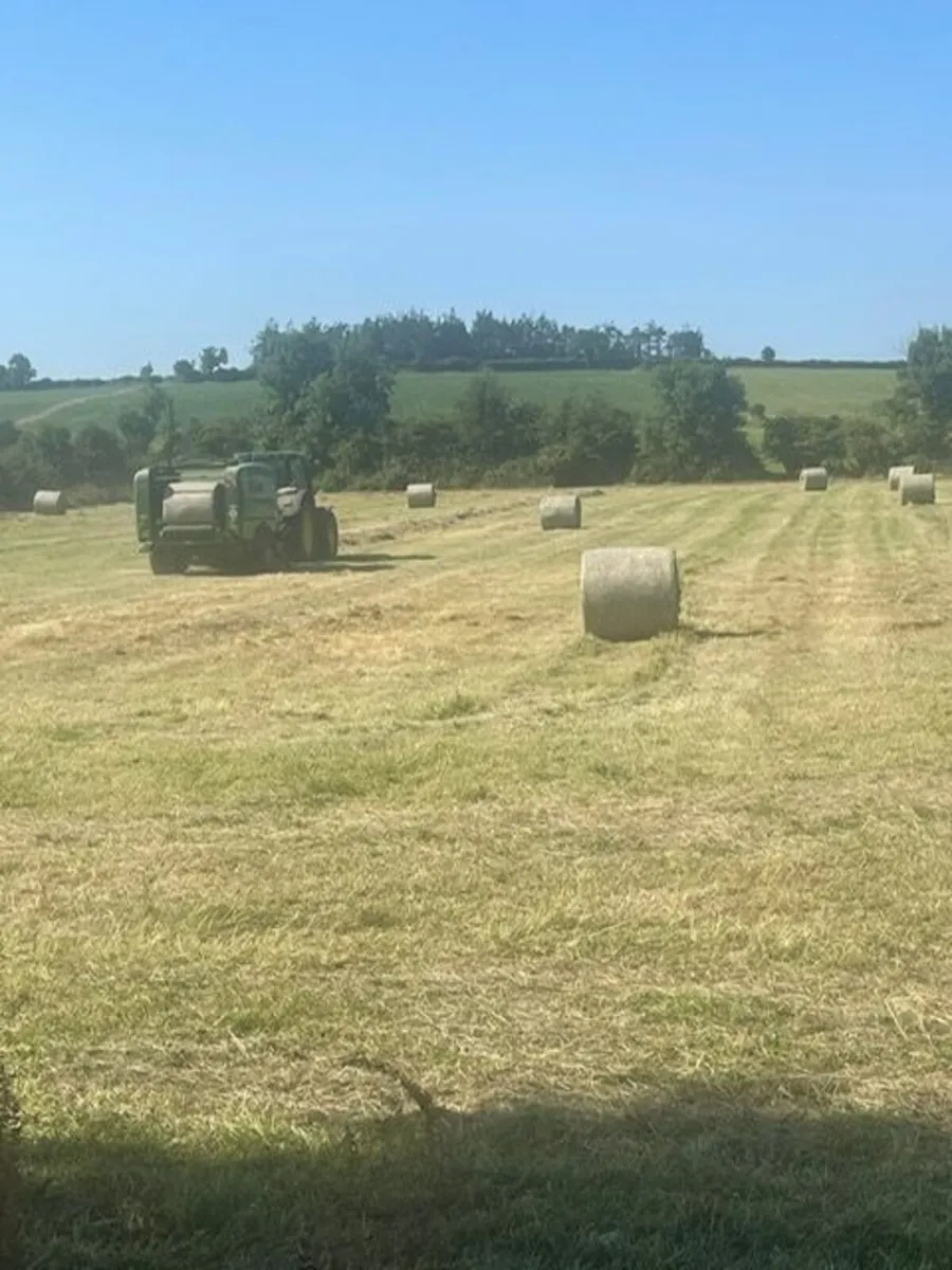 Hay - Image 3