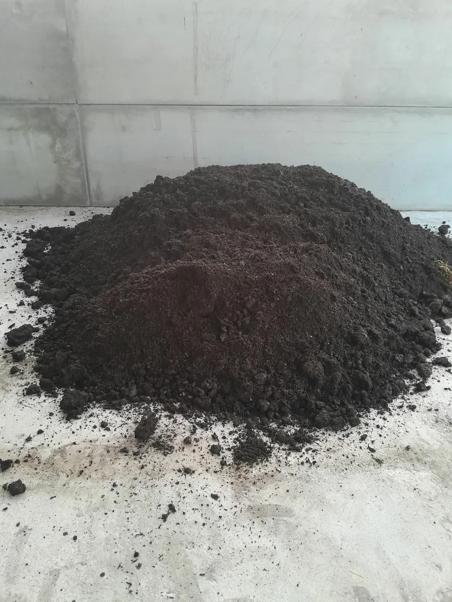 Mushroom compost - Image 2