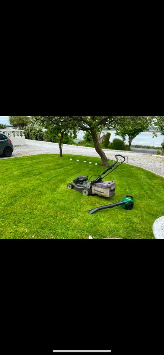 GARDEN SERVICES CORK