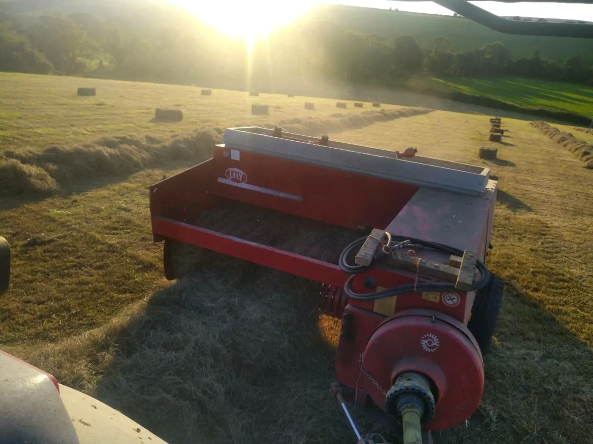 Hay For Sale - Image 2