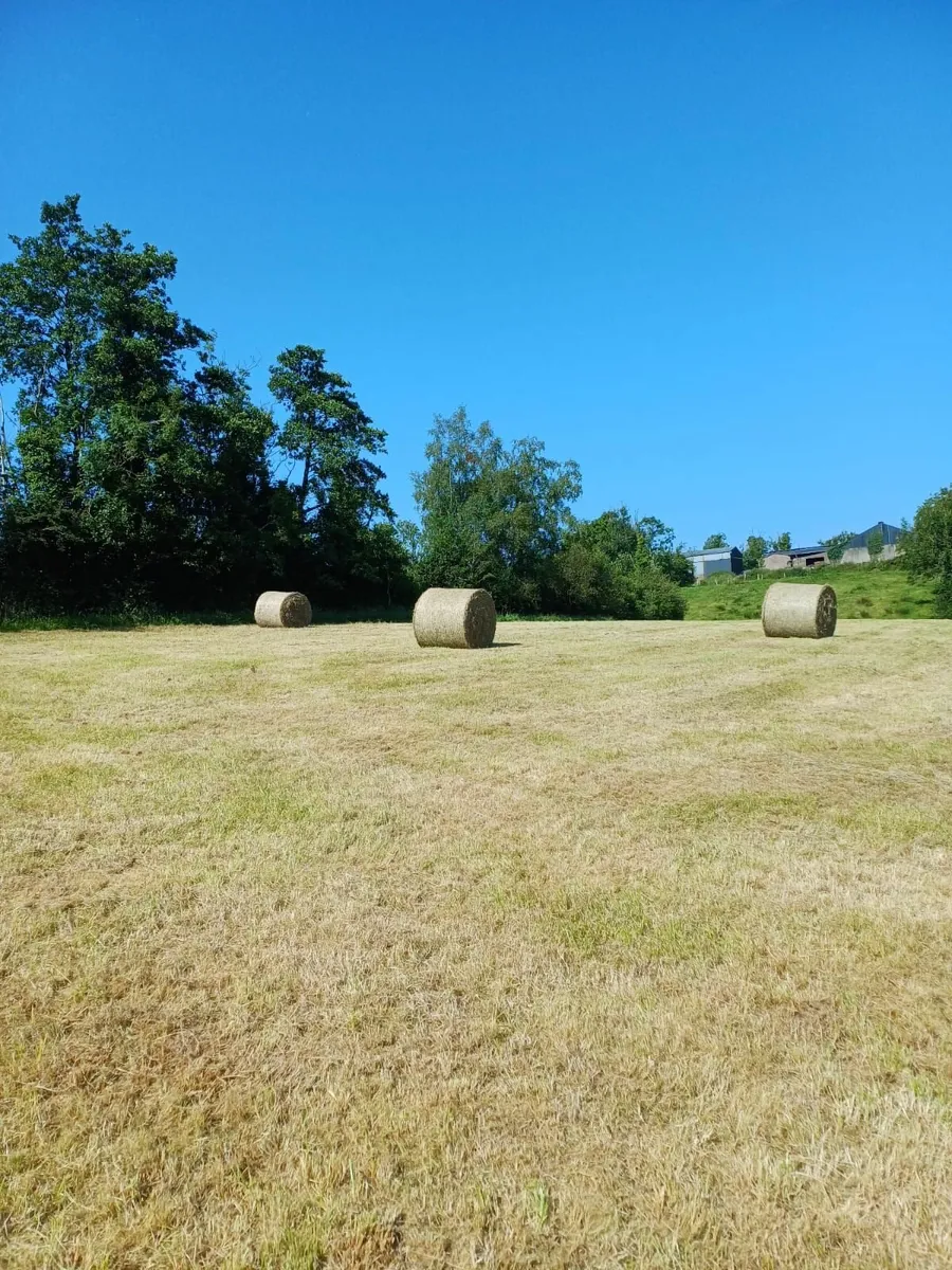 horse hay, Carrickroe area. - Image 1