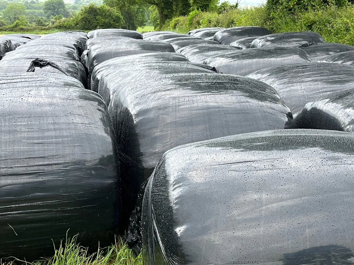 Haylage bales - Image 1
